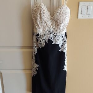 Ark & Co Black and Cream Lace Midi Dress